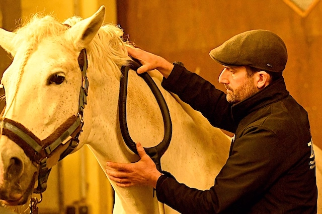 Equiness-Zellkraft® Magnetfeldtherapie